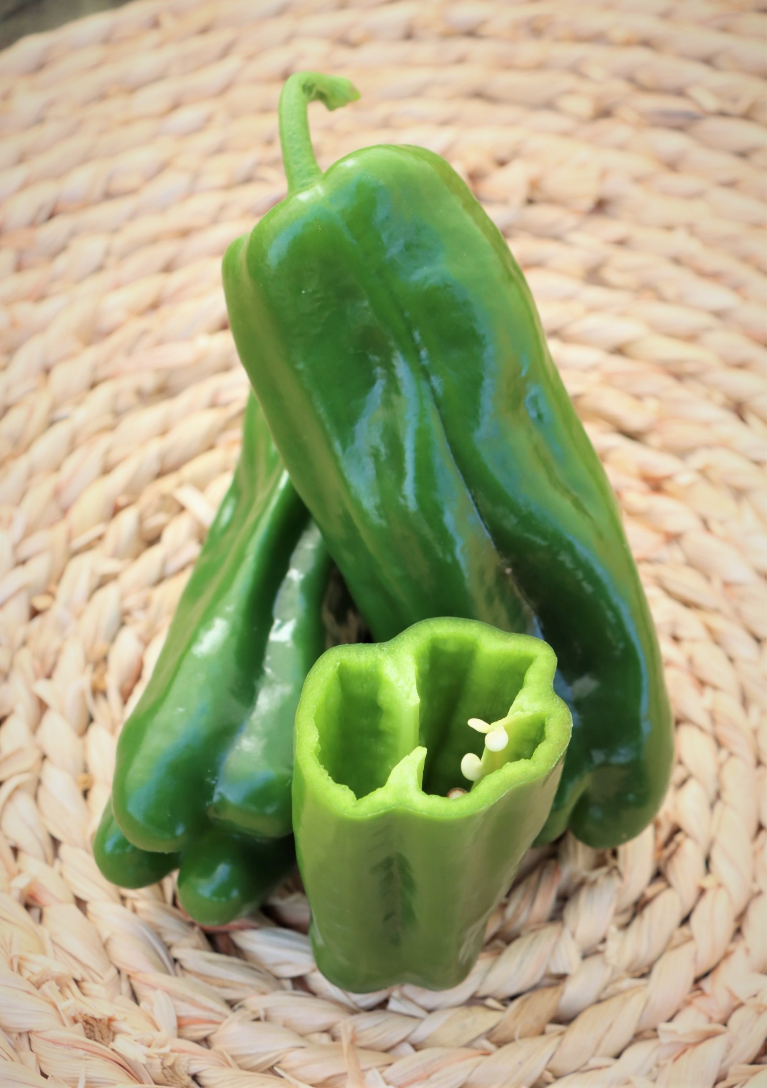 Sweet Pepper No. 14 F1